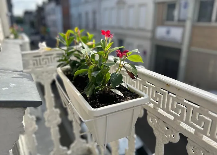 De Charme En Plein Coeur De Rouen